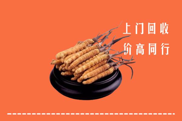 高价求购：阜阳市颍泉回收散虫草