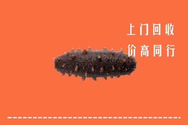 高价求购：阜阳市颍泉回收海参