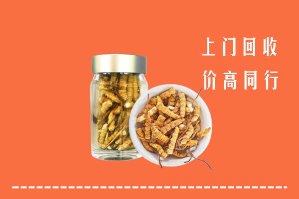 阜阳市颍泉回收冬虫夏草
