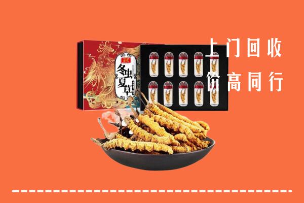 阜阳市颍泉回收虫草